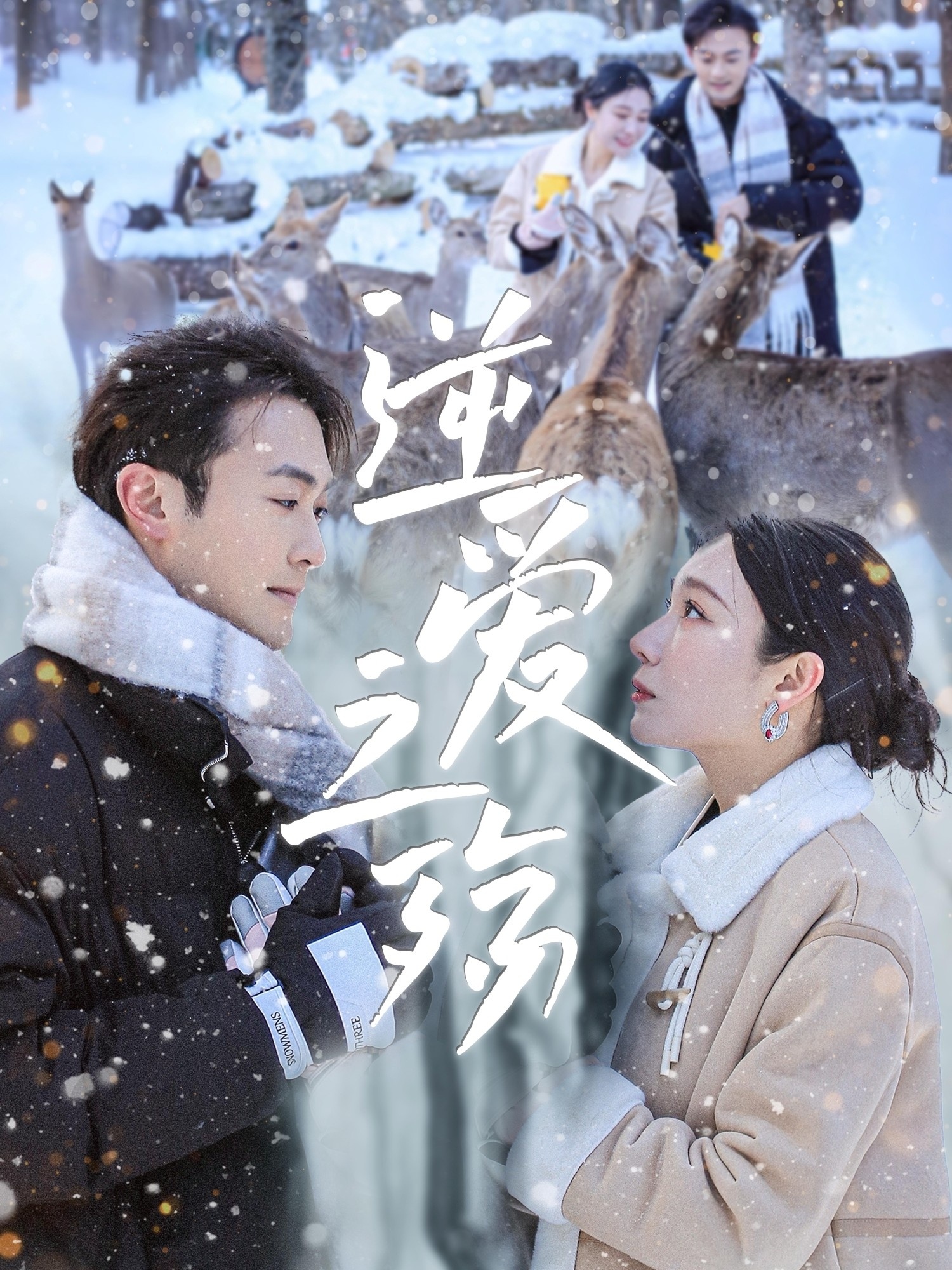 意甲博洛尼亚vs萨索洛20240204