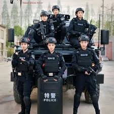 女巡特警之蜂鸟突击队