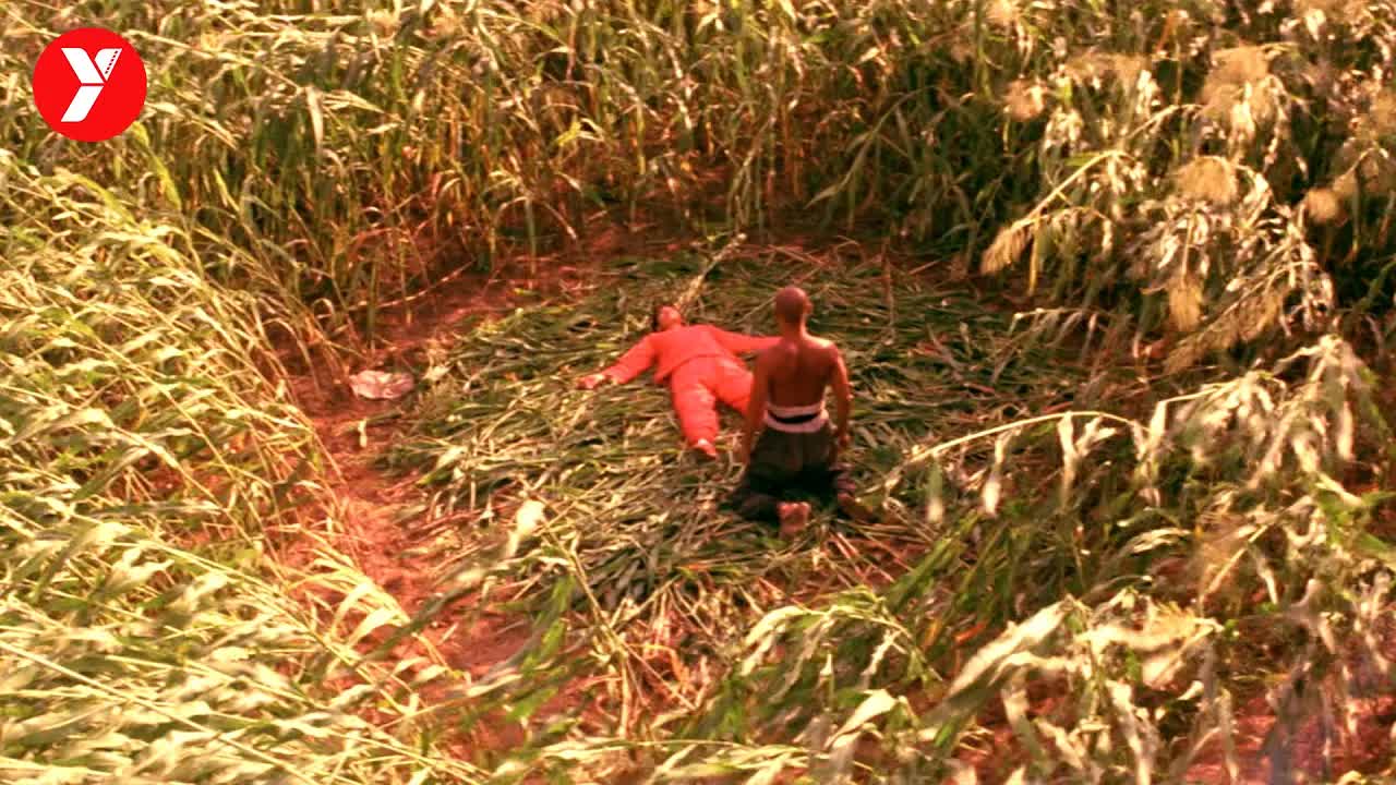 【越哥】投资仅80万，却创下4亿观影人次，张艺谋凭借这部电影一举成名